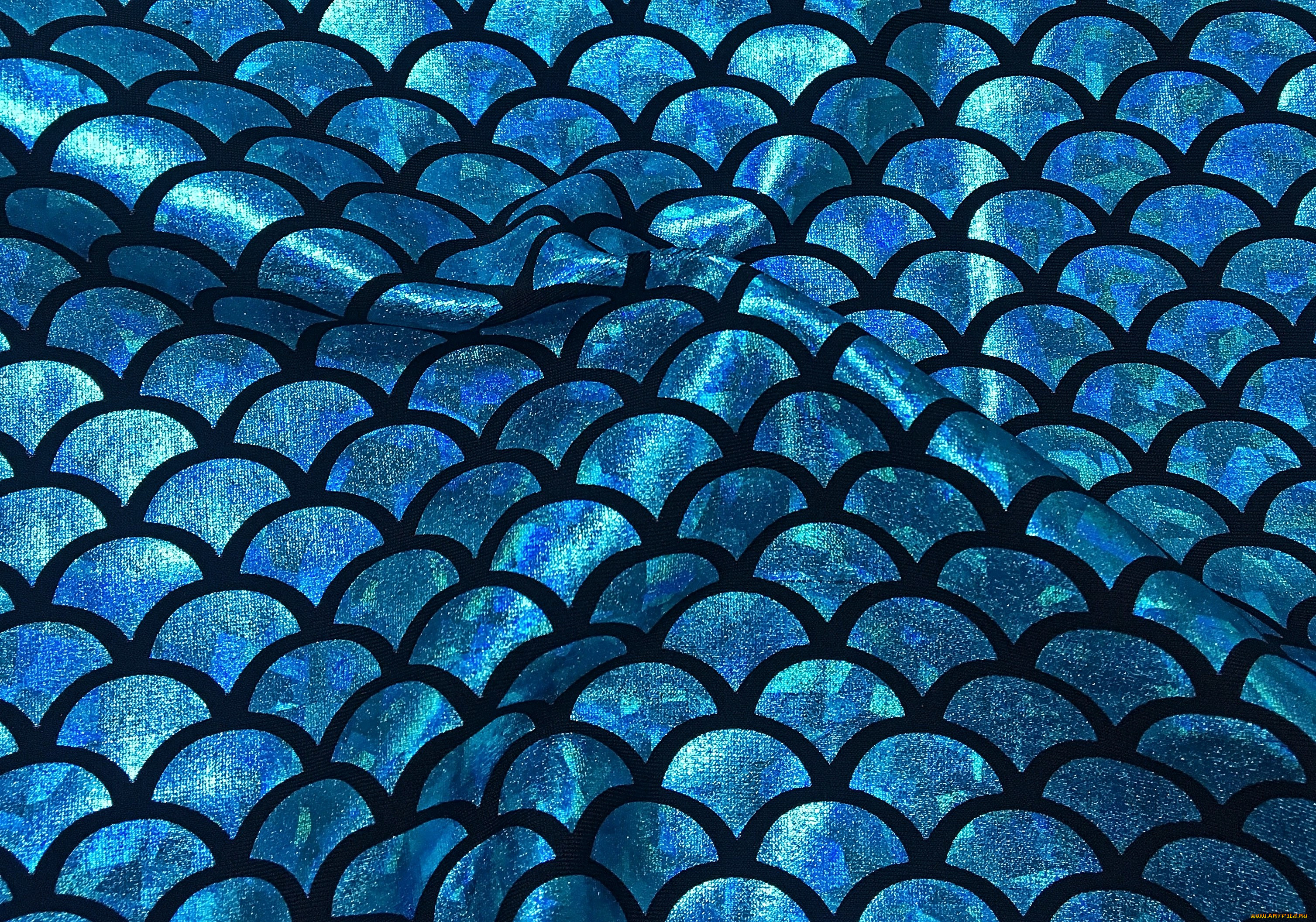 , , 